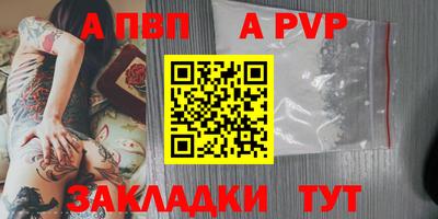 стаф Можга
