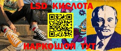 стаф Можга