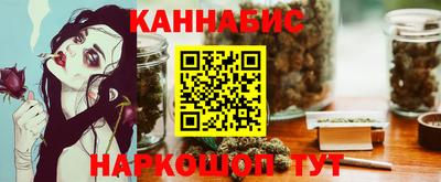 стаф Можга